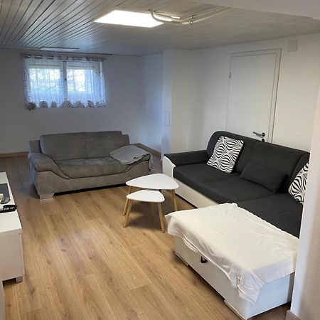 Chaleureux Appartement - Estrade Bollwiller Buitenkant foto